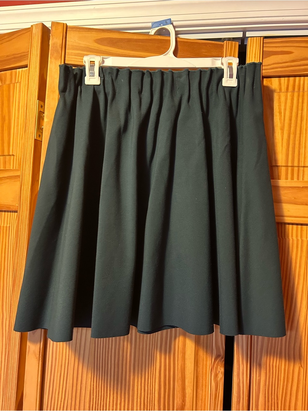 Zara Women’s Forest Green Elastic Waist Skater Skirt